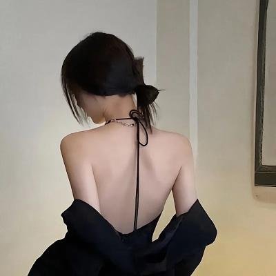 戴洛奇小镇第一季海报