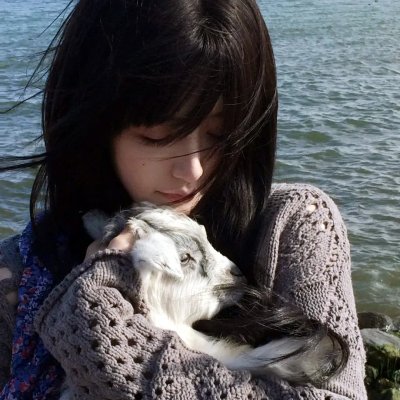 爱情特效药海报